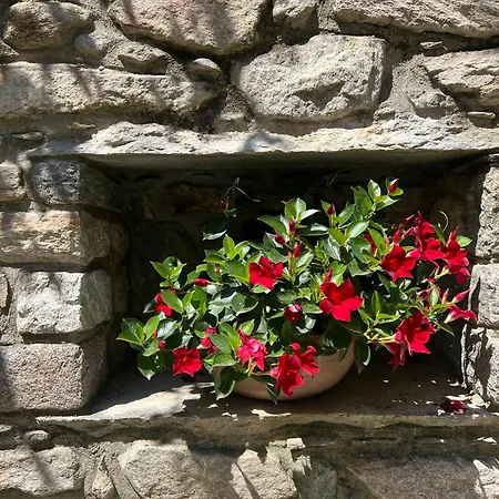 Nocleg ze śniadaniem Piccolo Relais 3*