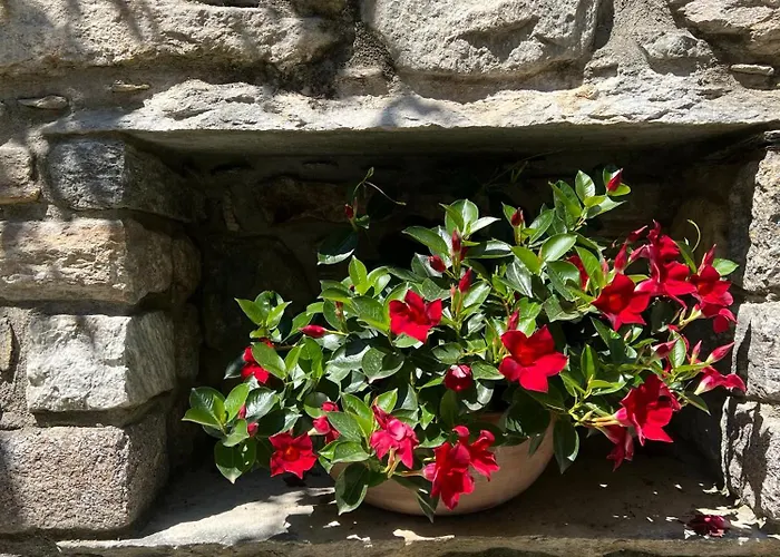 Bed and breakfast Piccolo Relais 3*