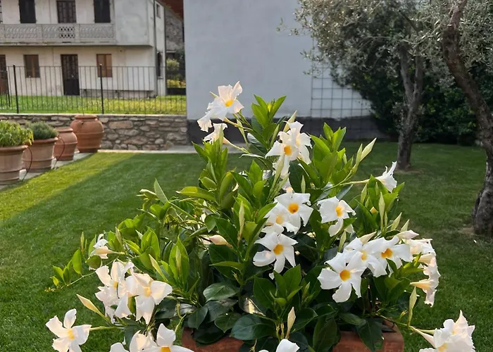 Piccolo Relais 3* Lessolo